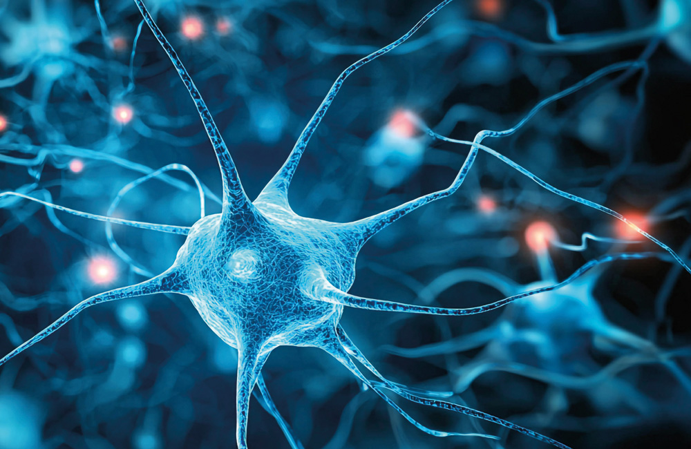 Darstellung von Nervenzellen als Symbol für epileptische Anfälle und Epilepsie Symptome