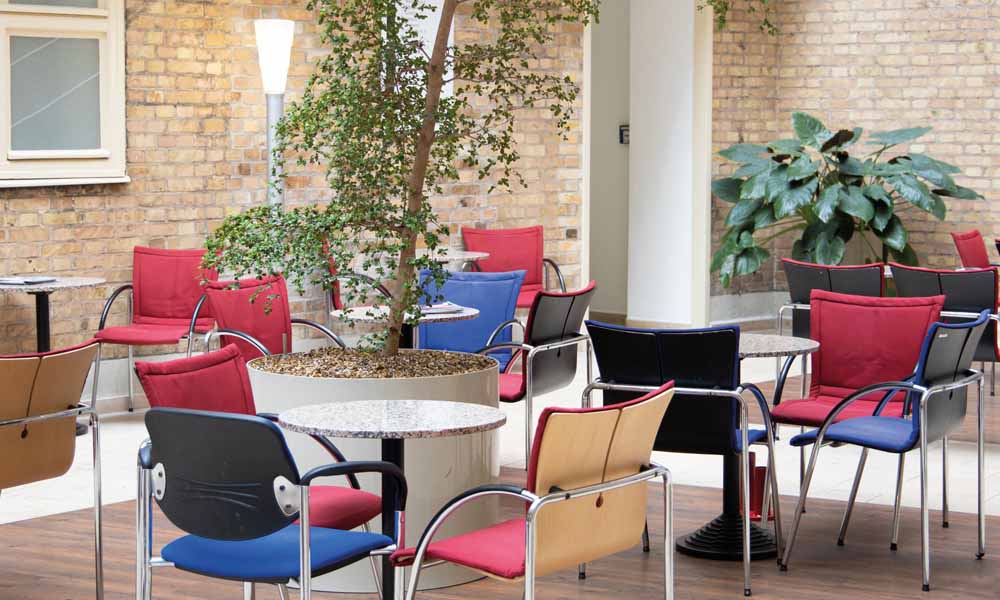 Ambulante Reha im ZAR Berlin im schönen Ambiente